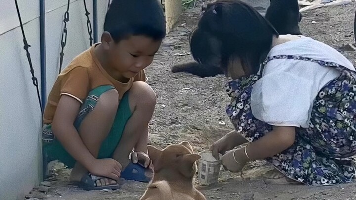 Looks like the little dog thinks it’s a kid too!