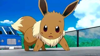 Pokemon sun and moon  episode 65 in english