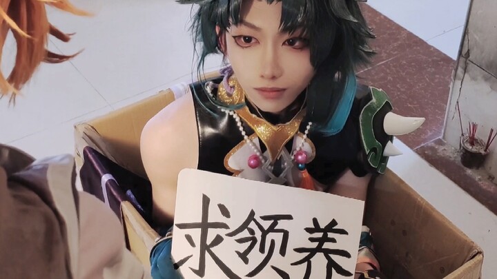 This cardboard box holding Xiao is so cute!