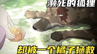 一个即将濒死变成人形的狐狸，却被人类女子救下，狐狸报恩
