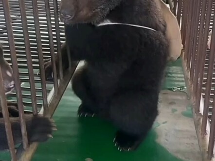 背个小书包