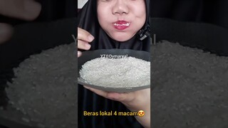 DYMA |ASMR RAW RICE EATING |Makan Beras | asmrrawriceeating| #asmrsounds  #asmr #shorts #mukbang(1)