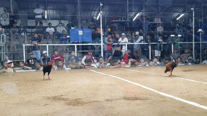 Joe Black at Mr. nice guy sayang ang tatoo