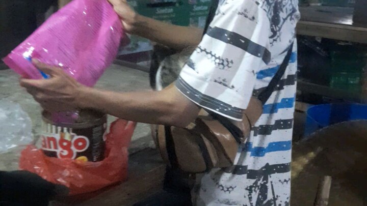 tiap malam harus ngasih makanan kucing