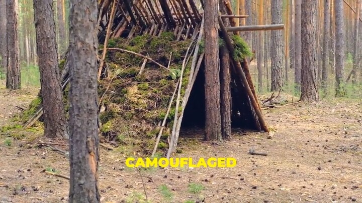 _️ DIY Survival Shelters_ Quick & Efficient! ️