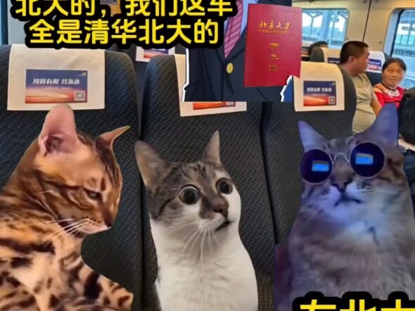 Sinh viên đại học về quê nghỉ đông được khen ngợi trên tàu hỏa