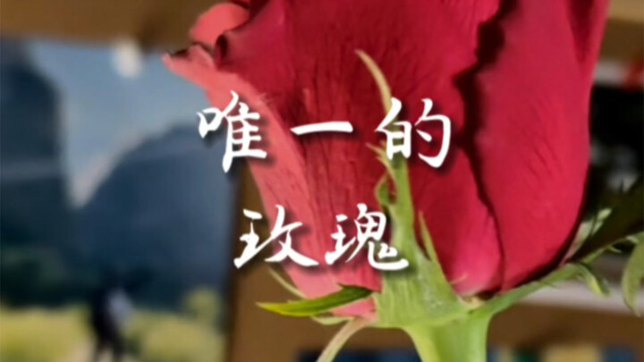 อย่าแค่หลงรักช่วงที่มันเบ่งบาน แต่จงระลึกไว้ด้วยว่าสักวันมันก็ต้องเหี่ยวเฉาไป