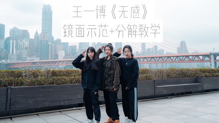 【炸美】王一博《无感》超高颜值镜面翻跳+分解教程｜ACE鑫宝首次舞蹈教学