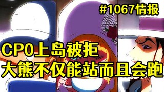 海贼王漫画1067话情报：贝加庞克吃下了脑脑果实，大熊已经能站起来并且小跑