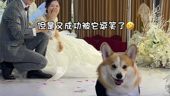 Turns out my puppy loves me even more than I thought!