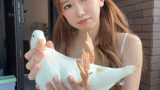 柯尔鸭劝退！信我！