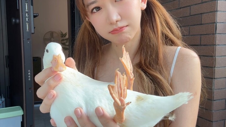 เป็ดเคอเอ้อร์ แนะนำให้ถอย! เชื่อฉันสิ!