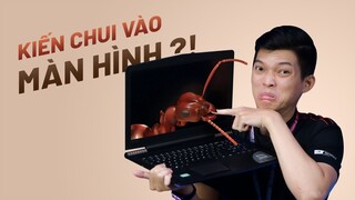 Hỏi đáp 49 SS02: Kiến chui vào màn hình phải làm gì? Màn hình gaming giúp tăng FPS???