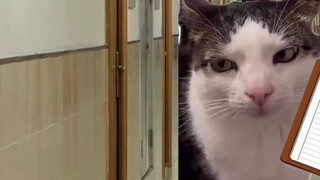 The most devastating time for boarding students