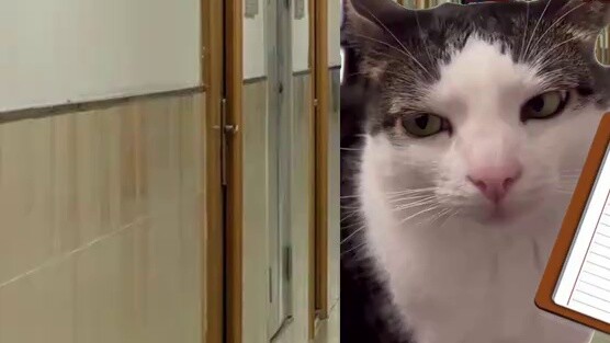 ช่วงเวลาที่เลวร้ายที่สุดสำหรับนักเรียนประจำ