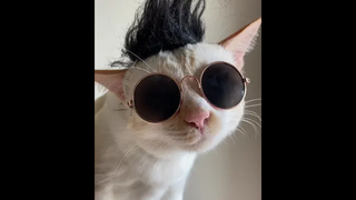 เอาเรื่อง