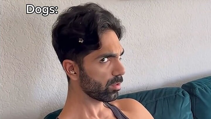 Dog vs. Cat: When They Make a Mess!