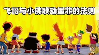 飞哥与小佛联动墨菲的法则（上）
