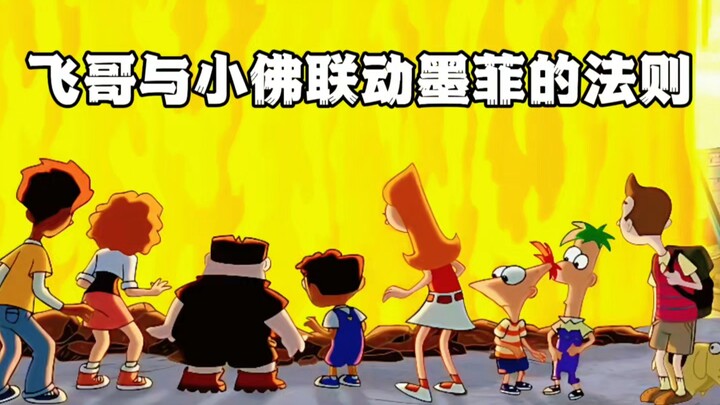 飞哥与小佛联动墨菲的法则（上）