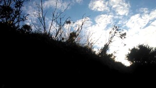 pan-scan