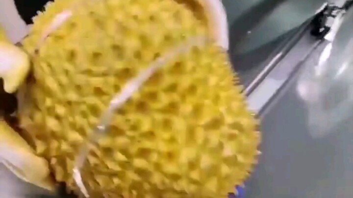 Big, juicy durian is so delicious!