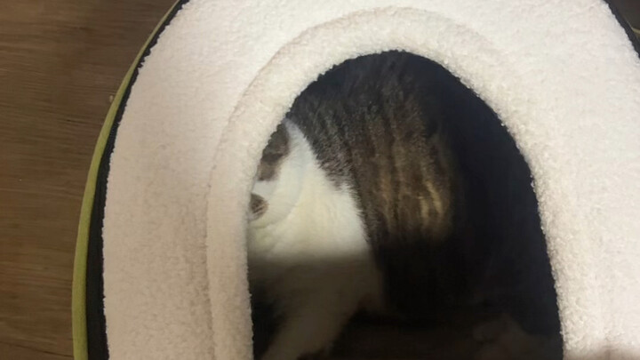 Is this how I’m supposed to use it?