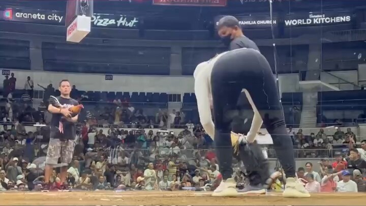 Firebird gamefarm/Biboy Enriquez’s super grey! WSC 2026 Finals!