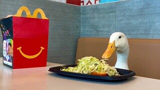 خذ بطتي إلى أكبر مطعم ماكدونالدز في العالم 🦆🍟
