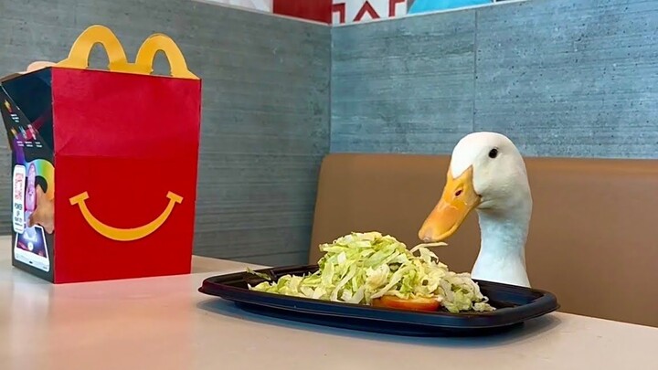 Bawa bebekku ke McDonald's terbesar di dunia 🦆🍟