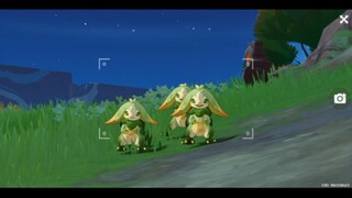 Three angry little zucchinis are intimidating you.