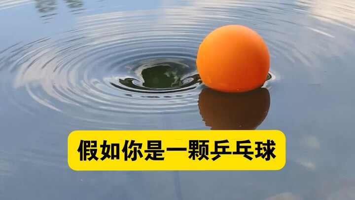 If you were a ping-pong ball caught in a whirlpool