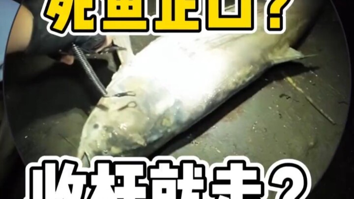 ปลาตายกำลังกินเหยื่อ พอเก็บคันเบ็ดก็เดินเลยเหรอ? เจอสถานการณ์แบบนี้ จริงๆ แล้วต้องเดินเลยจริงๆ เหรอ?