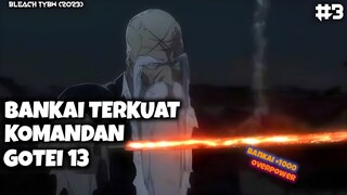 KEBANGKITAN BANKAI KAPTEN GOTEI 13, PERANG TELAH DIMULAI - Bleach