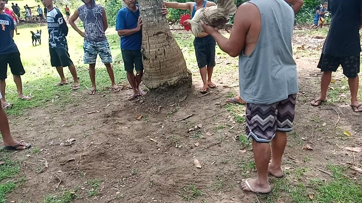 literal na fastestkill 💯