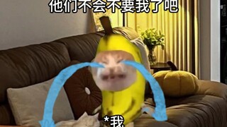 当我发现爸妈深夜离家的秘密