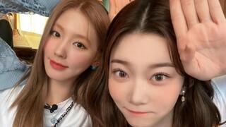 【ترجمة صينية】جميل جدًا! أول تواصل بين تشاو مييان وفوكوتومي تشيزو! رسما بورتريه ذاتي لبعضهما البعض + 