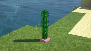 Cactus end candle
