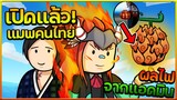 Conqueror Piece:แมพวันพีชคนไทย ที่ดีที่สุดในตอนนี้ เปิดแล้ว!! สอนเล่นิดหน่อย ไม่เล่นพลาดมาก!?
