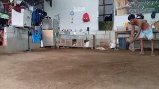 local/national