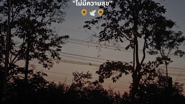 เหตุผลสุดท้าย🌼🕊️🌼🥀