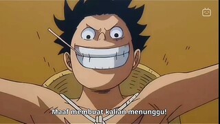 Luffy Sencho Emang Ga Ada Akhlakk!!!