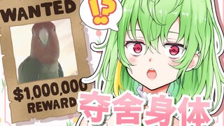 被saku酱🦜夺舍了身体
