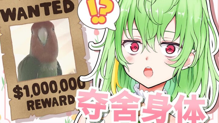 被saku酱🦜夺舍了身体