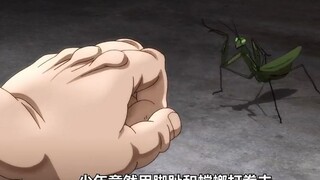 少年居然用脚趾和螳螂打拳击？#动漫#动漫解说#动漫推荐