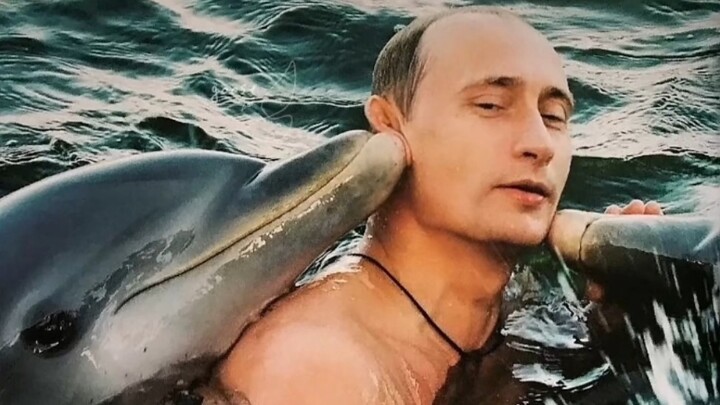 [Putin] Đến cá heo cũng thích Vladimir Putin