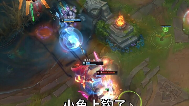 Oh no, it’s a shark.