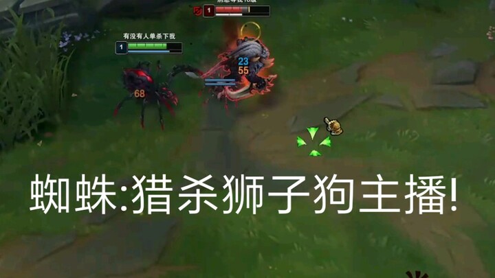 Nhện: Săn lùng streamer chó sư tử!