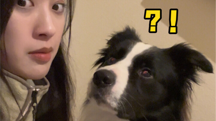 No one can resist a puppy's kiss! (Bun hates selfies)