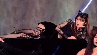 【ตะลึง】แมวตัวนี้ดูดุร้ายหน่อยนะ... โฟกัสของแมวดำกลางคืนมาแล้ว!