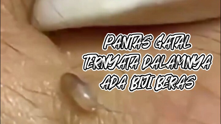 GELI TAPI DIKELUARIN BIKIN LEGA